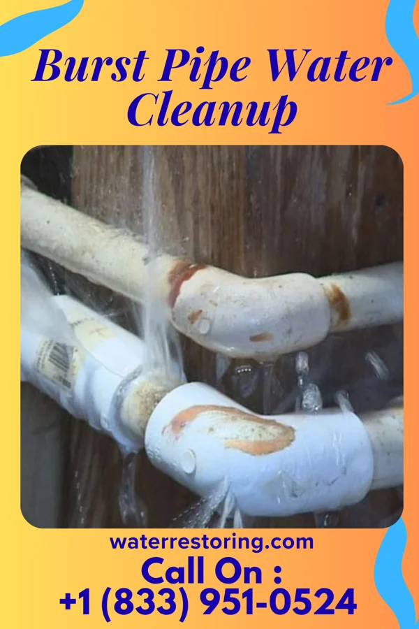 Burst Pipe Water Cleanup in Miller City, OH