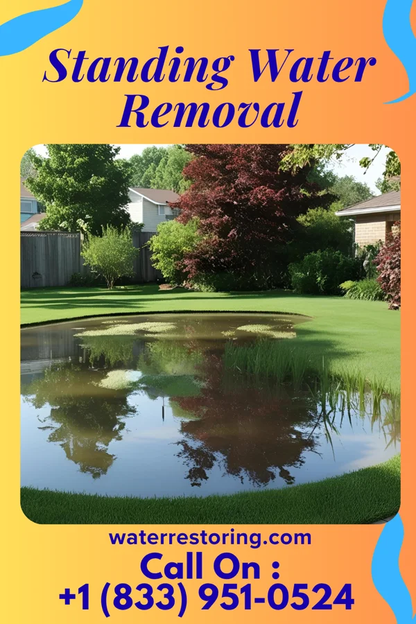 Standing Water Removal in Miller City, OH